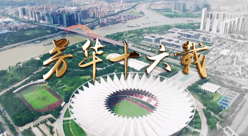 《新城开发纪录片-芳华十六载》